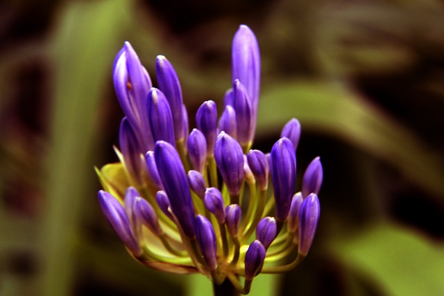 我们将深入 我们将深入