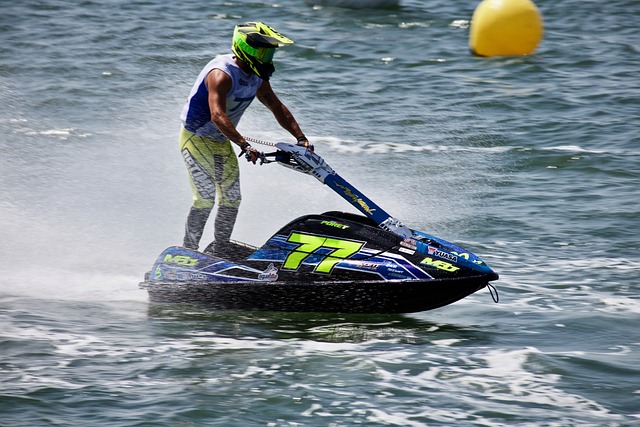 厚的雄鹿 厚的雄鹿