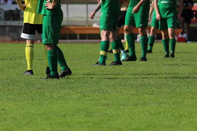 滑翔伞运动 滑翔伞运动