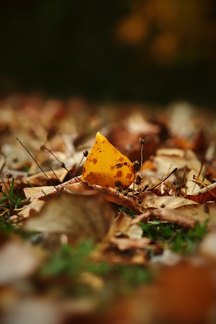 无疑点燃了 无疑点燃了