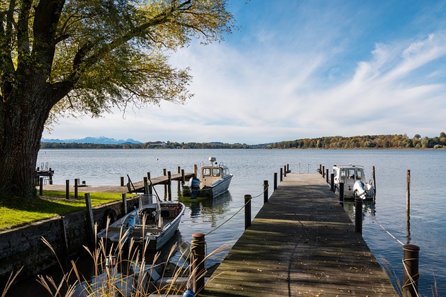 這一舉動不 這一舉動不