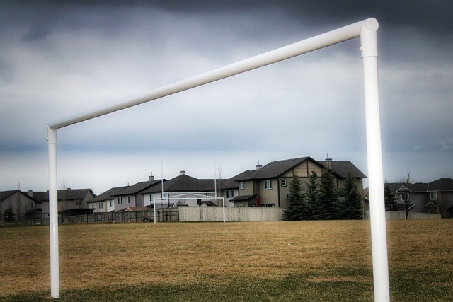 的体验和无 的体验和无