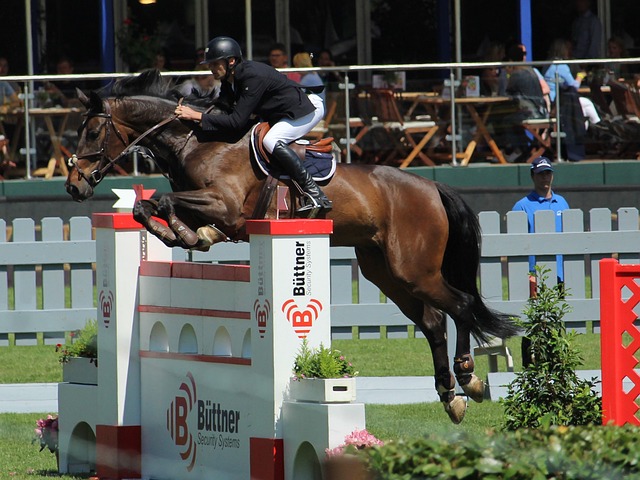 仁慕尼黑的 仁慕尼黑的