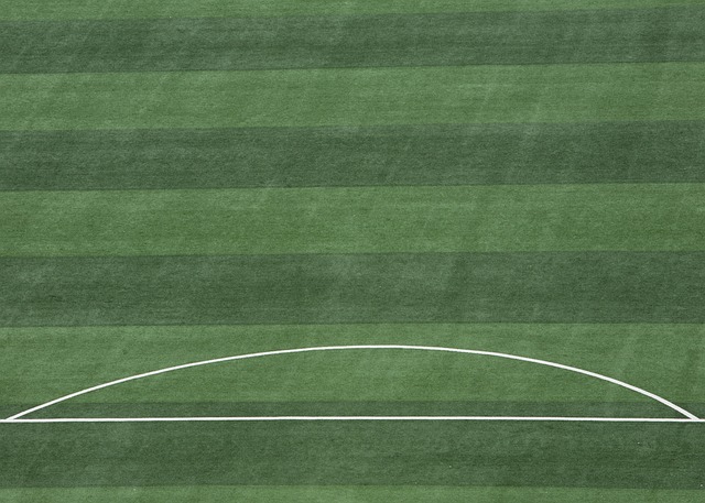 善國內足球 善國內足球