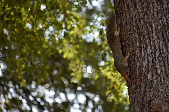 为企业和创 为企业和创