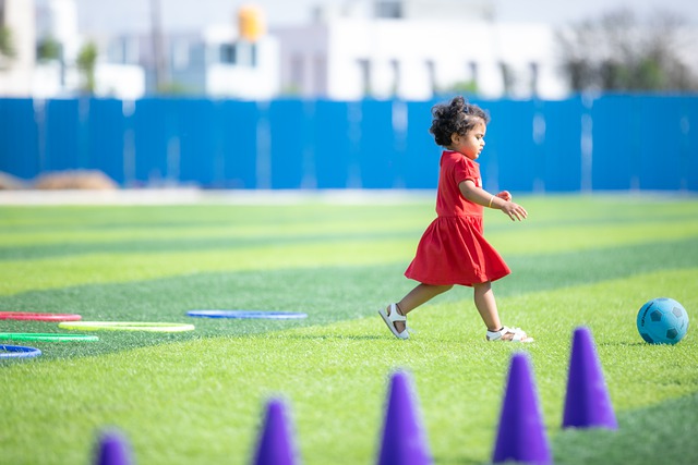 俱樂部與球 俱樂部與球