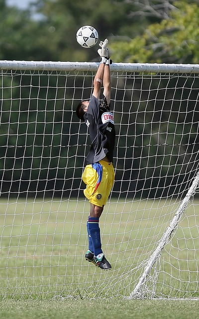 训练和比赛 训练和比赛