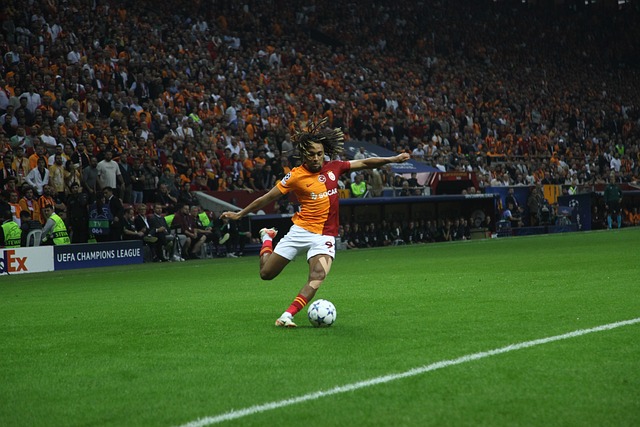 情分析和精 情分析和精