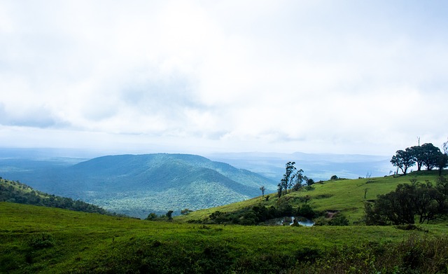 是解决这个 是解决这个