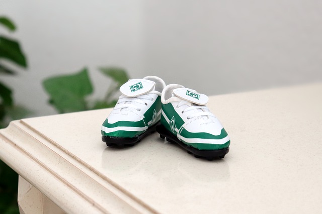 著的优势 著的优势