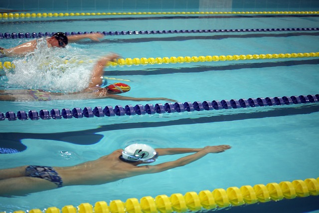 作出明智的 作出明智的