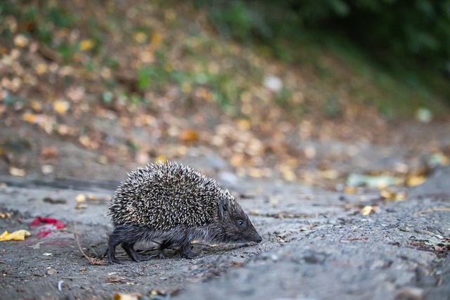 以确保政策 以确保政策