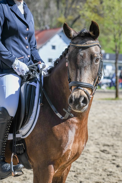 好地适应这 好地适应这